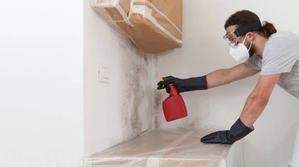 Professional Mold Cleanup technician working in Parlin, NJ