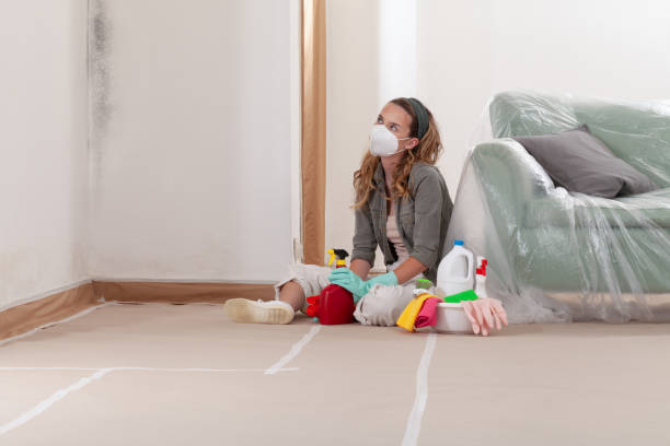 Reliable Mold Cleanup contractor in Parlin, NJ by WQB Mold Removal